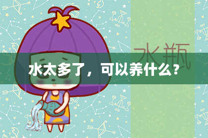 水太多了，可以养什么？