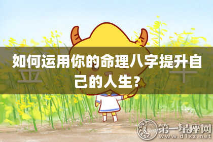 如何运用你的命理八字提升自己的人生？
