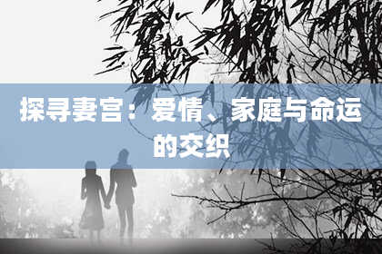 探寻妻宫：爱情、家庭与命运的交织