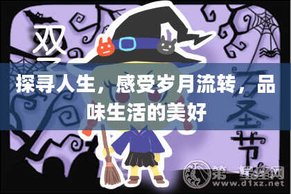 探寻人生，感受岁月流转，品味生活的美好