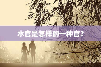水官是怎样的一种官？