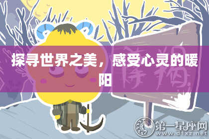 探寻世界之美，感受心灵的暖阳