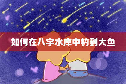 如何在八字水库中钓到大鱼