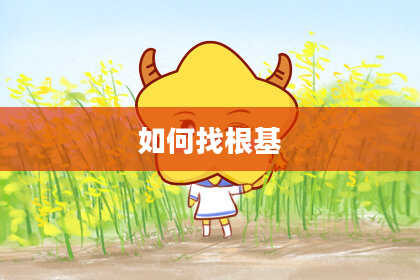 如何找根基