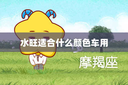 水旺适合什么颜色车用