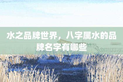 水之品牌世界，八字属水的品牌名字有哪些