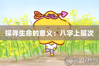 探寻生命的意义：八字上层次