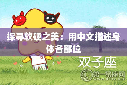 探寻软硬之美：用中文描述身体各部位