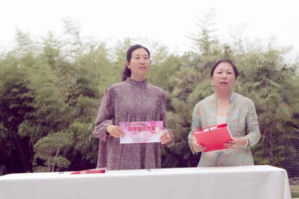 探秘五行缺木的女性命理：如何调和与升华生命能量