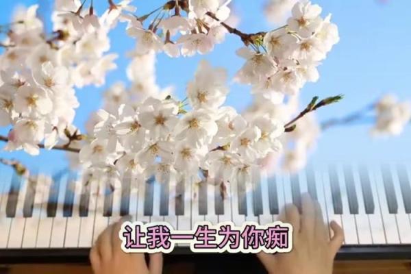 兄弟情深：相依为命的温暖与力量