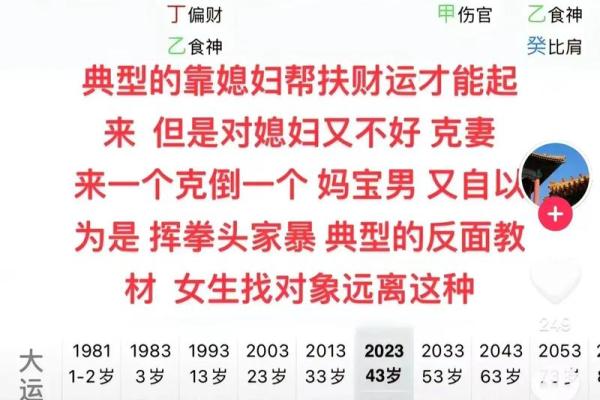 探秘命理：辛巳丙申辛未丁酉天干地支的奥秘与人生启示