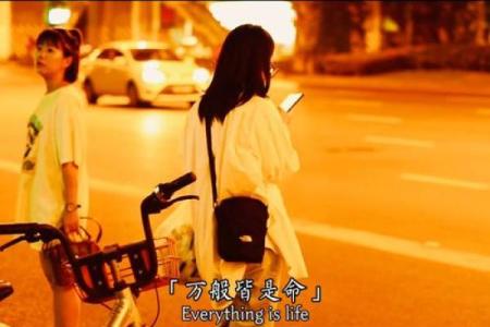 探索上佳文命：何谓理想的命运与人生之路？