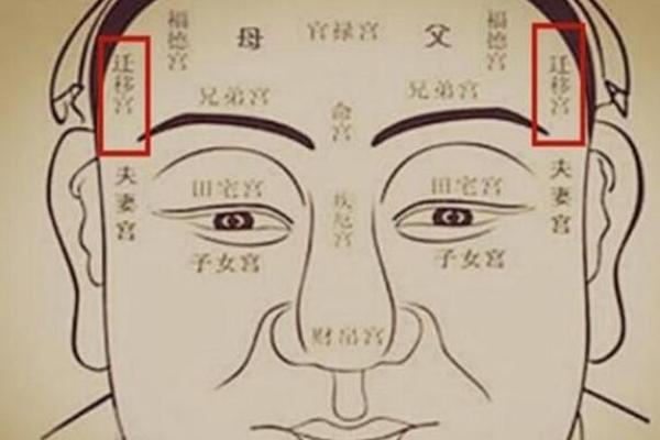 探秘高命天子命格男性：命运掌控与人生智慧的结合
