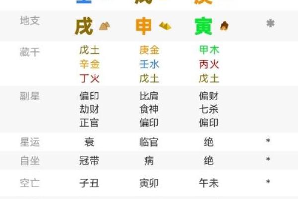探秘八字命理：辛巳、甲午、癸丑与葵亥的命运解析
