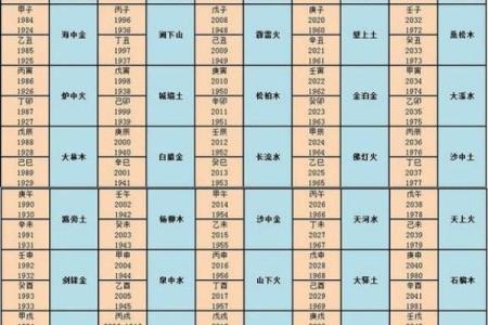 辛酉甲午庚午庚辰命格解析：命运之路在于心态与选择