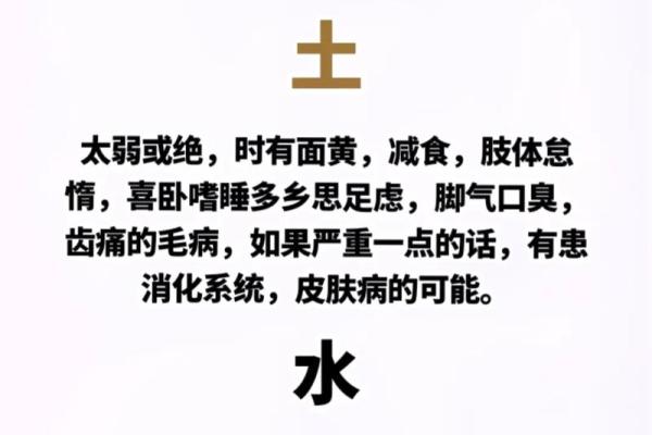 探索辛未路旁土命格的深邃含义与命理智慧