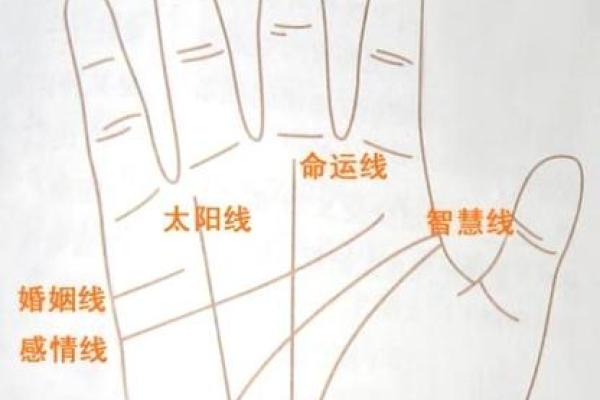 探寻手掌纹路之谜：条纹与命运的深度关联