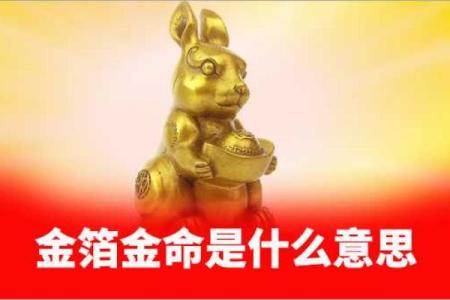 探秘命理：如何理解癸卯金箔金命的独特特征与人生机遇