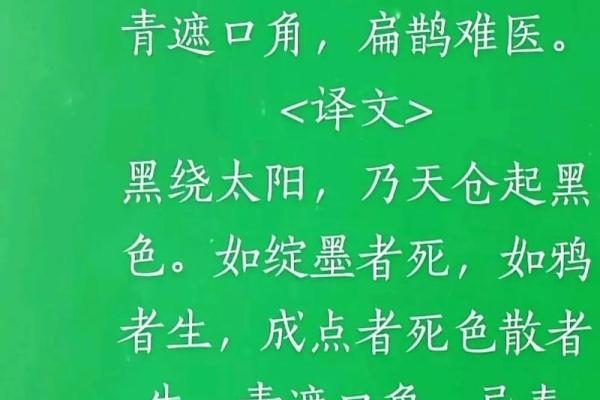 双子座的前世今生：灵动智慧与情感的旅程