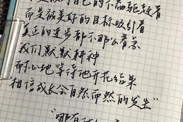 探秘半子之命：命理中的奥秘与人生启示