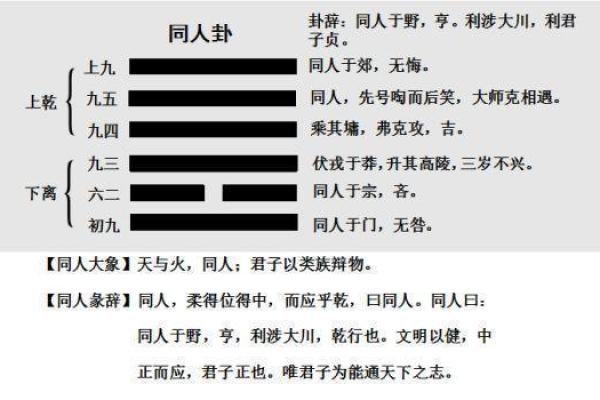 衔阳注阴五行改命的智慧与启示