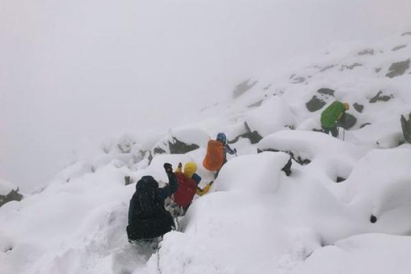 雪中莲花命的深邃解析：揭开命运的神秘面纱