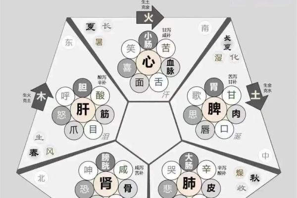 五行分析：1979年出生的命理奥秘与生活智慧