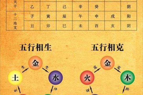 五行分析：1979年出生的命理奥秘与生活智慧