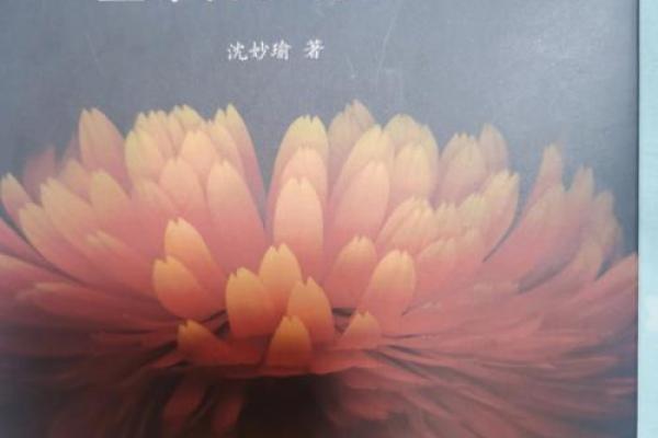 水命与其他命格的婚配：理想伴侣的深度解析