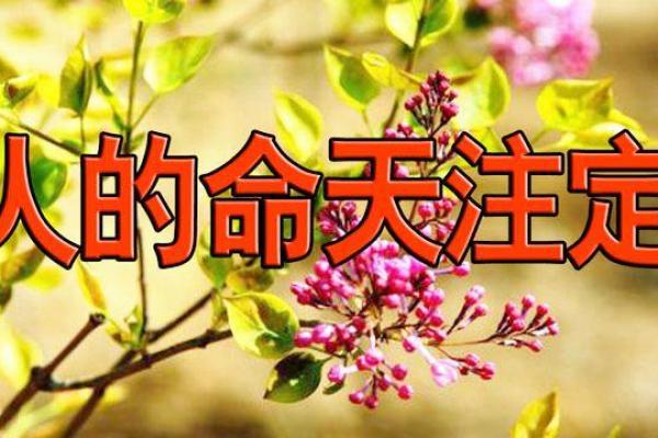 探寻“硕士之命”：当知识与人生相遇