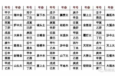 辛巳白蜡金命女生的人生智慧与注意事项探讨