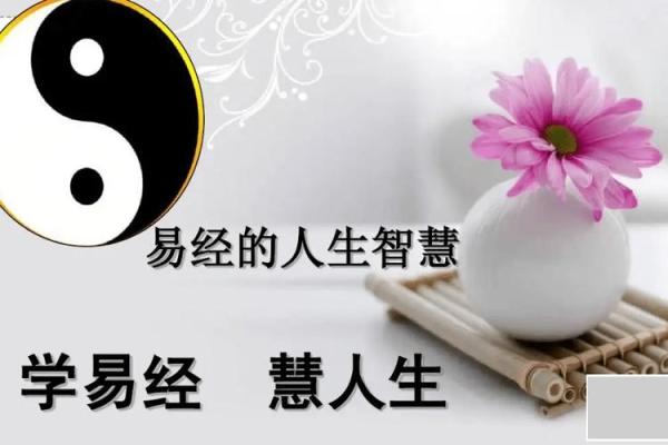 探寻农历二月丙火命理的奥秘与人生智慧