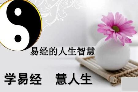 探寻农历二月丙火命理的奥秘与人生智慧