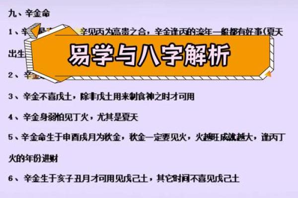 探索命理的奥秘：从书本中认识命运的密码