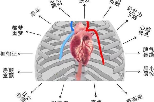 探究性格与命运之间的微妙联系：从脾气看人生轨迹