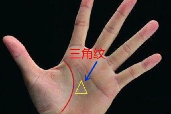 探索三角形手纹之谜：他们的命运与特征