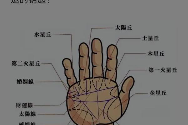 通过手纹揭示命运：解密10个簸箕的命理密码