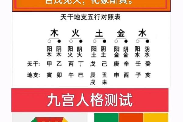 探秘癸水命的女人：温柔坚韧与智慧的结合