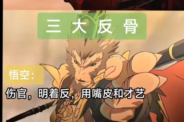 探究正官正印男命的魅力与运势之道