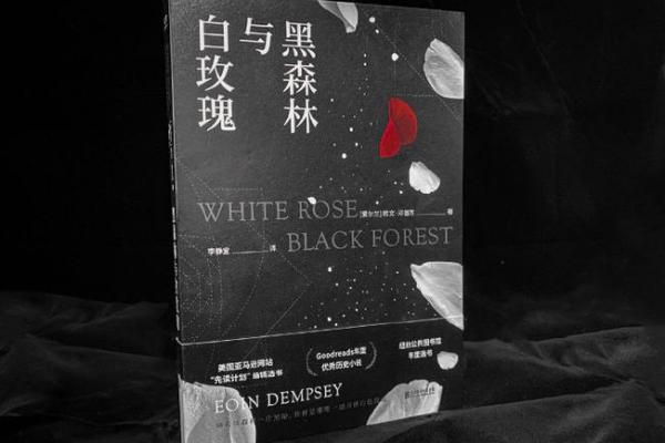 兄妹相依：命运交织的温暖与坚韧之路