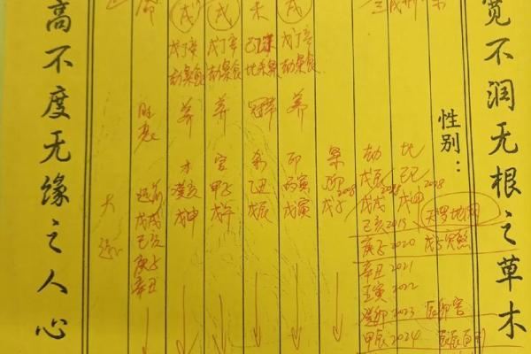 土命是如何克制海水命的？揭示五行之间的微妙关系！