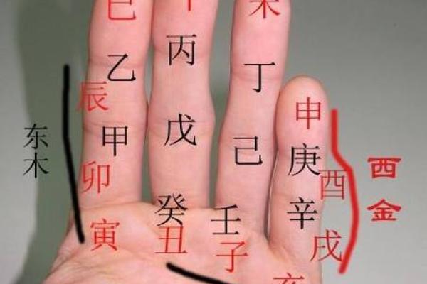 探寻命理：八字无子女的命理特征与破解之法