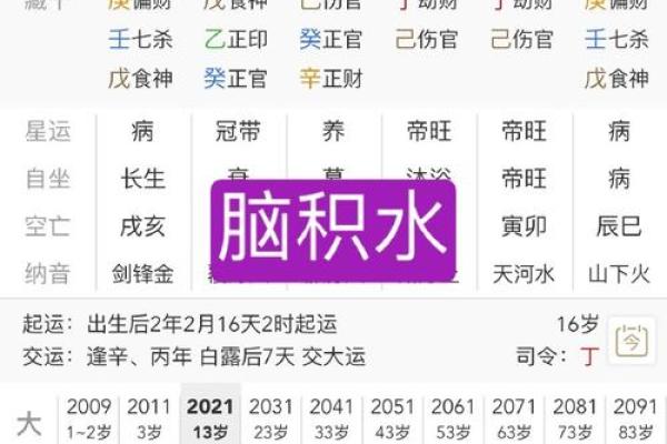 探寻命理：八字无子女的命理特征与破解之法