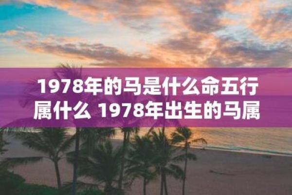 夏季木命女人的命运解读与人生启示