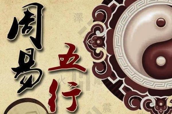 五行中的1979年：在命理中探寻属于你的命运之路