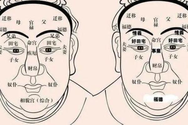 下巴尖长的女性面相解析：她们的命运与性格特点