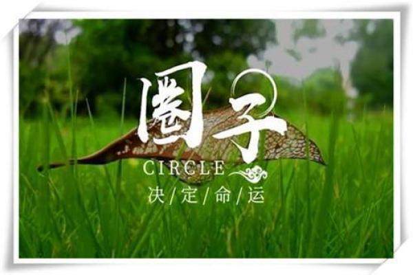 辛卯命人士适合的生意选择与发展策略探讨