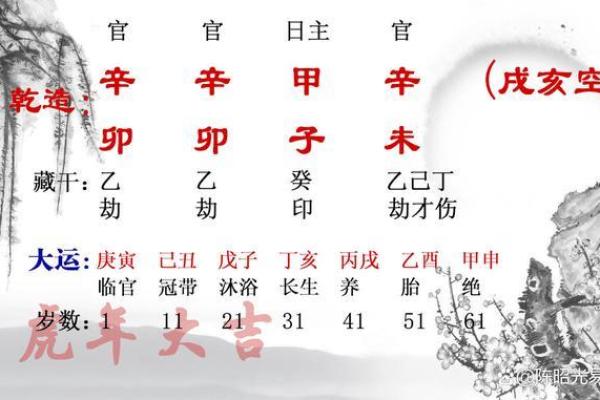 辛卯命人士适合的生意选择与发展策略探讨