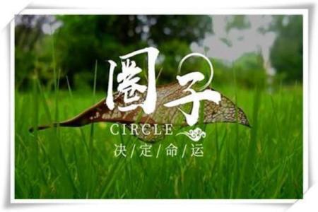 辛卯命人士适合的生意选择与发展策略探讨