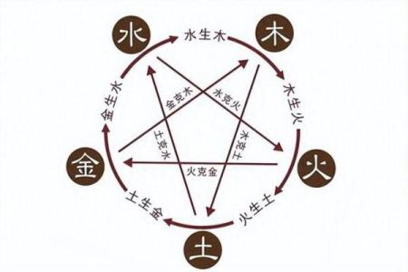 杨柳木水马命与相克命理的深度解析